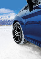Performance, coppia di calze da neve per auto - SD62