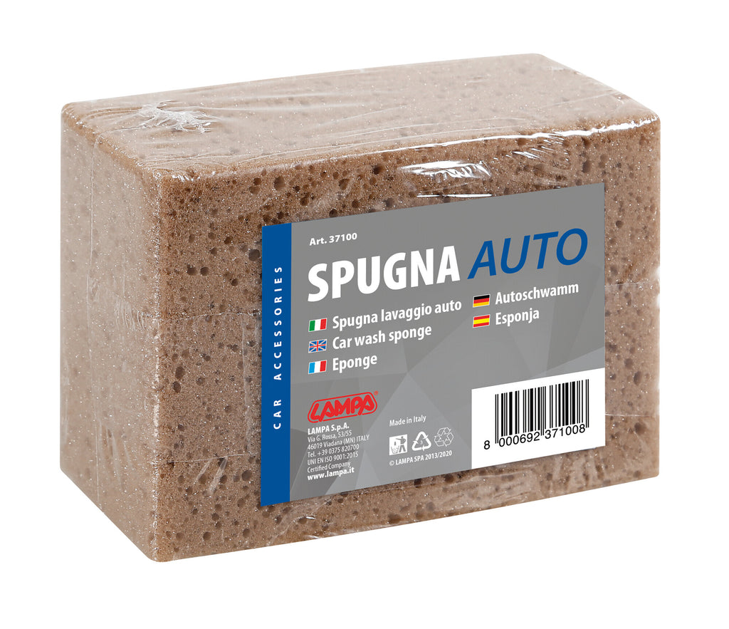 Spugna lavaggio