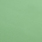 Pro-Clean - 30x40 cm - Panno elettronica - Tessuto raso
