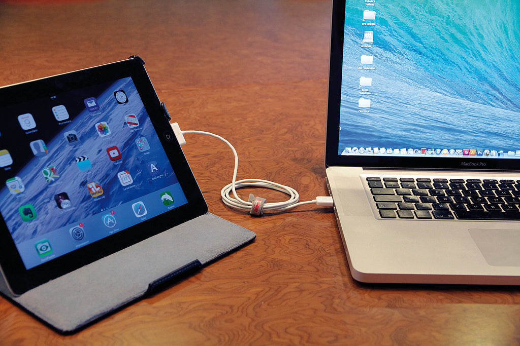 Cavo Usb > Apple Dock 30 Pin - 100 cm - Bianco