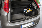 Shop & Store, organizer baule pieghevole - M