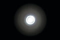 Luce ingombro - 1 Led - 12/24V - Bianco