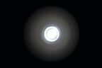 Luce ingombro - 1 Led - 12/24V - Bianco