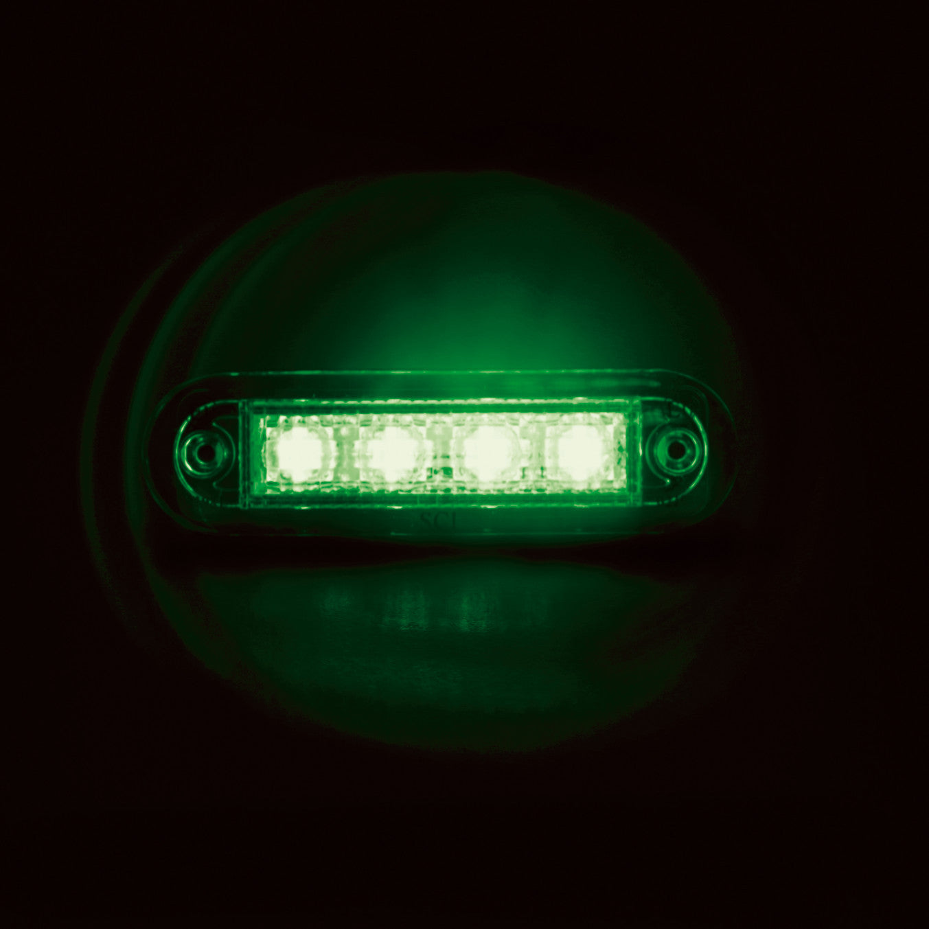 Luce decorativa - 4 Led - 12/24V - Verde