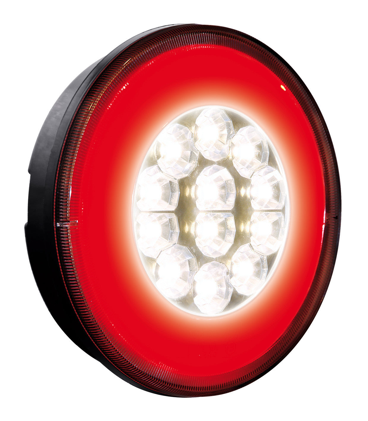Reversing O-LED, fanale retromarcia e posizione a led, 12/24V