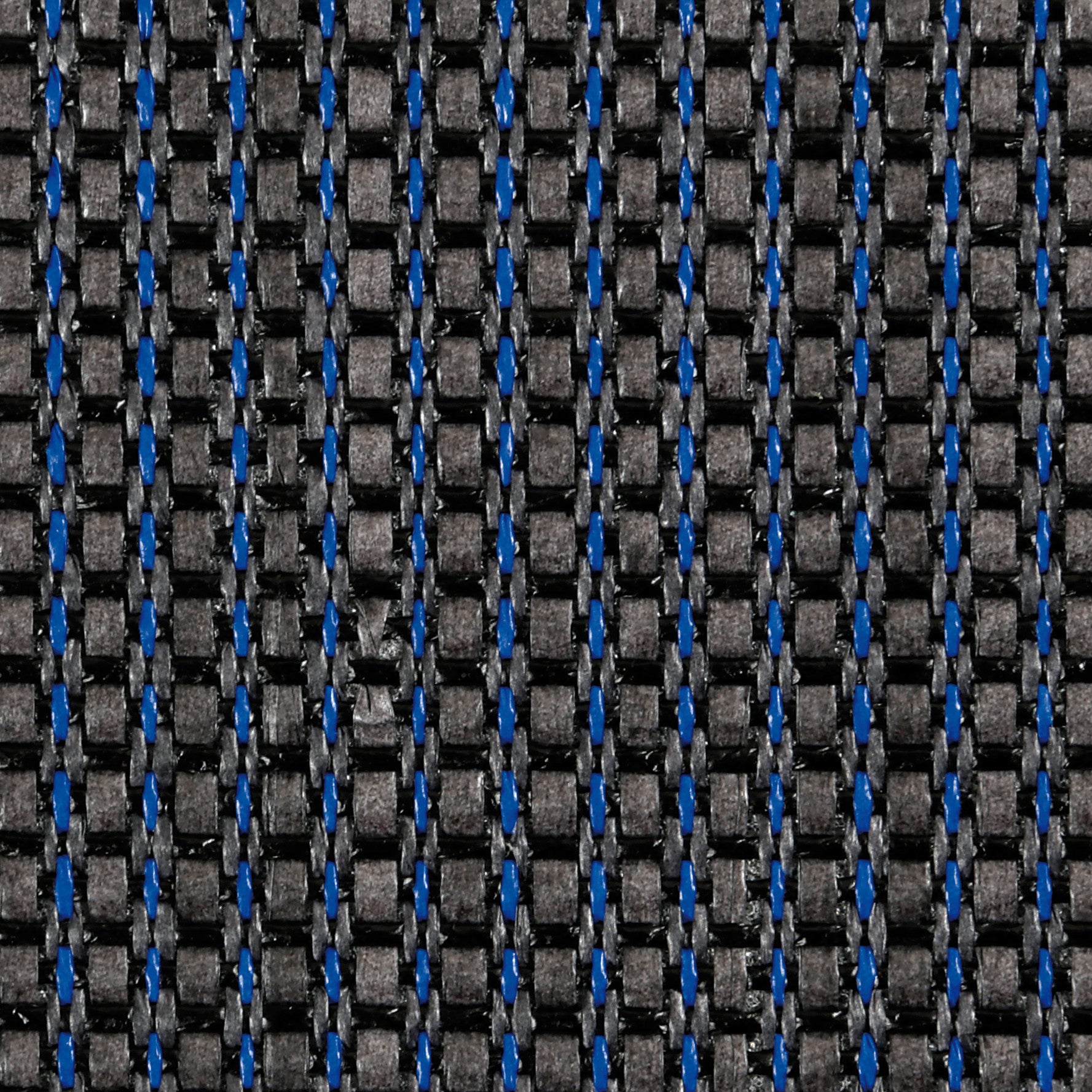 Slim Strip, coppia schienali anteriori - Blu