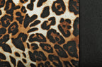 Leopard, set fodere coordinate