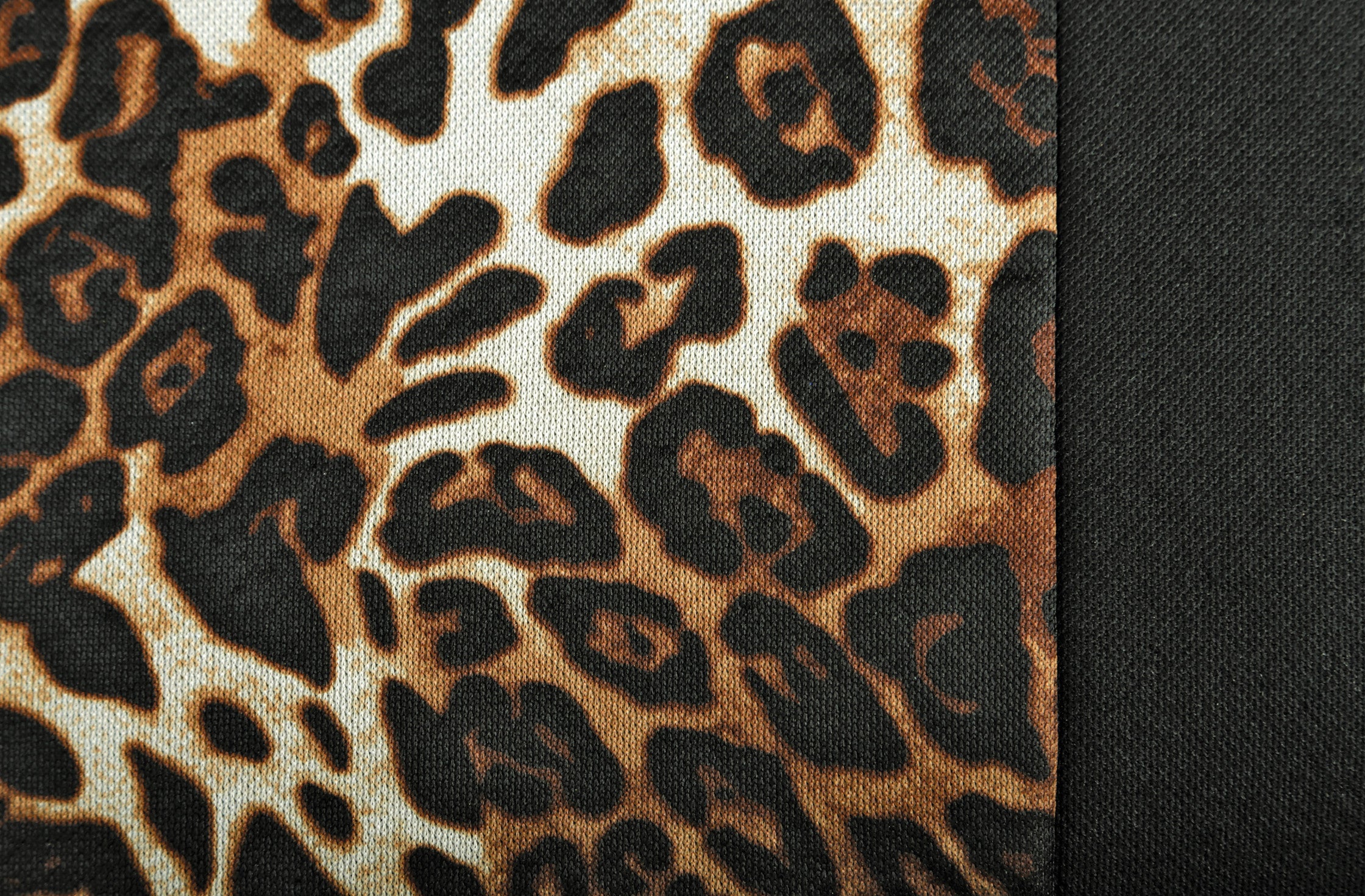 Leopard, set fodere coordinate
