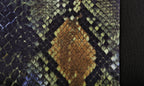 Reptile, set fodere coordinate