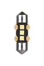 12V Ultra-Lumen Series - 11,3x31 mm - SV8,5-8 - 1 pz - Scatola - Bianco - Doppia polarità