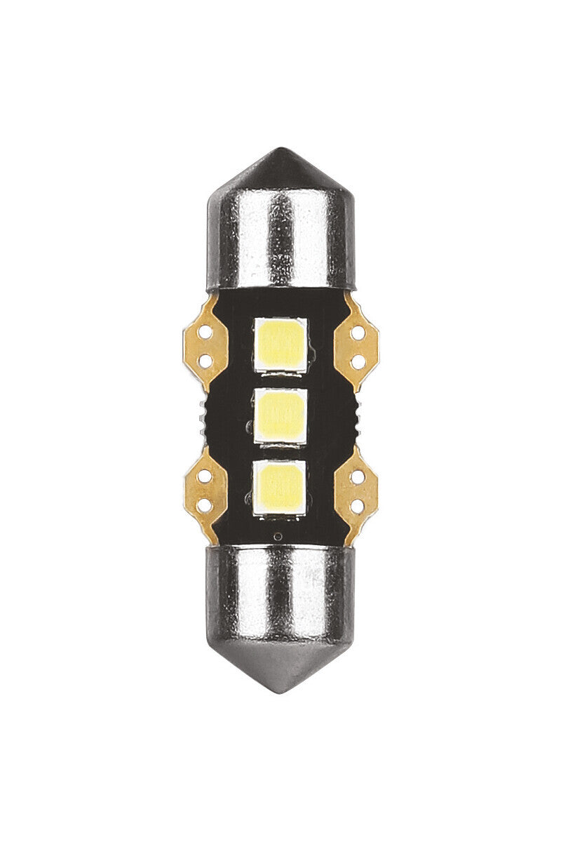 12V Ultra-Lumen Series - 11,3x31 mm - SV8,5-8 - 1 pz - Scatola - Bianco - Doppia polarità
