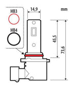 12V Halo Led Venus Series Quick-Fit - (HB3-HB4) - 10W - P20d / P22d - 1 pz - Scatola