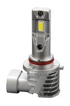 12V Halo Led Venus Series Quick-Fit - (HB3-HB4) - 10W - P20d / P22d - 1 pz - Scatola