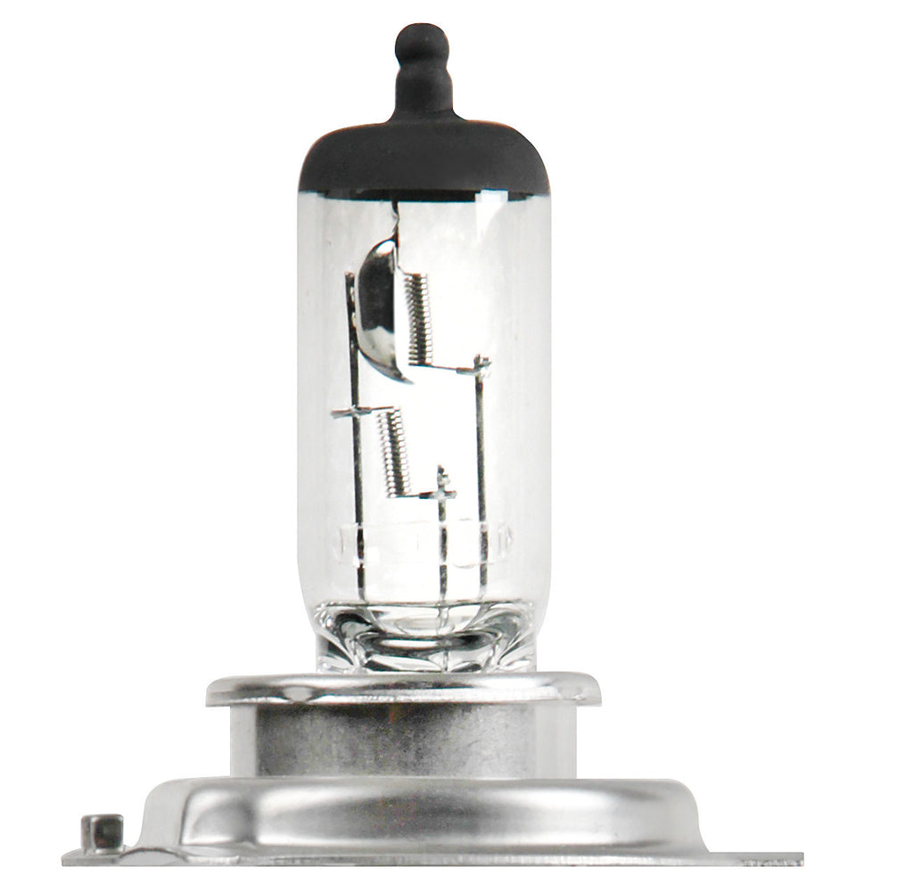 12/24V Halo Led Serie 1 - (H4) - 25W - P43t - 1 pz - D/Blister