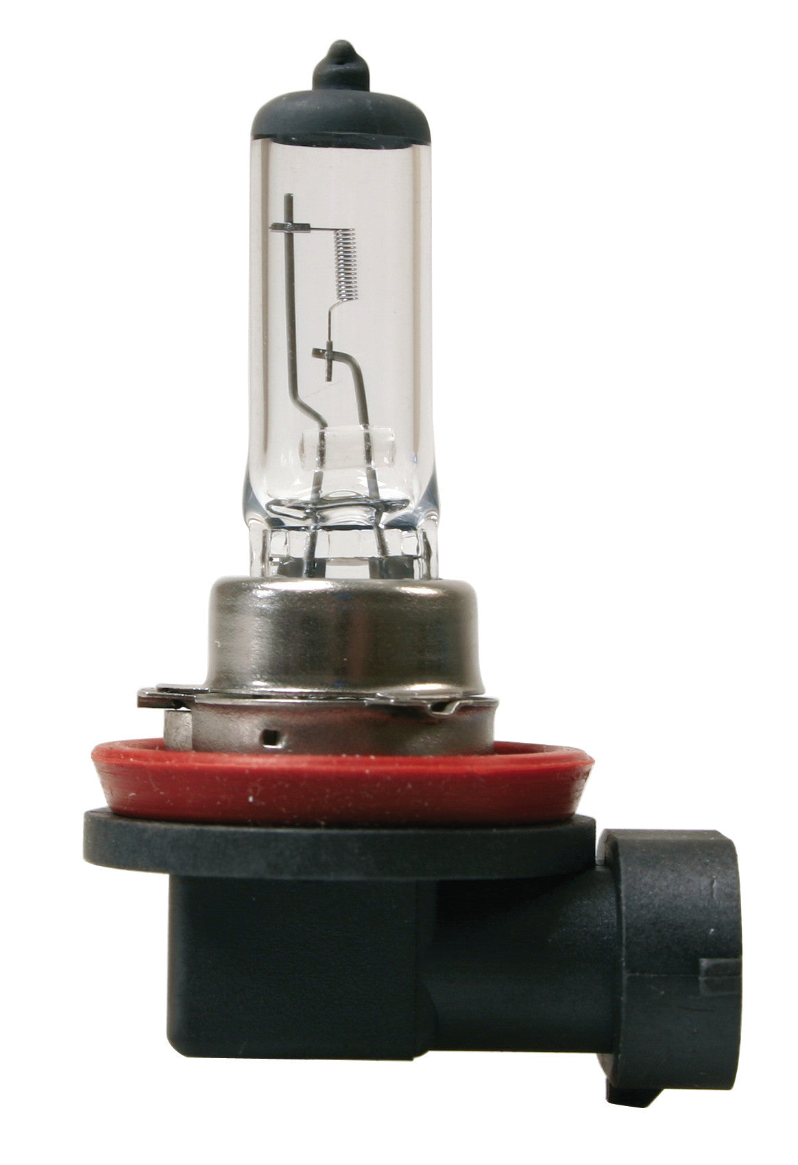 12V Lampada alogena - H11 - 55W - PGJ19-2 - 1 pz - Scatola