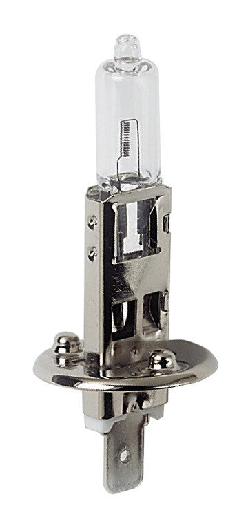 12V Lampada alogena - H1 - 55W - P14,5s - 1 pz - Scatola