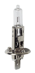12V Lampada alogena - (H1) - 100W - P14,5s - 1 pz - Scatola