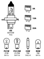 Kit lampade di ricambio 8 pz, alogena H4 - 12V