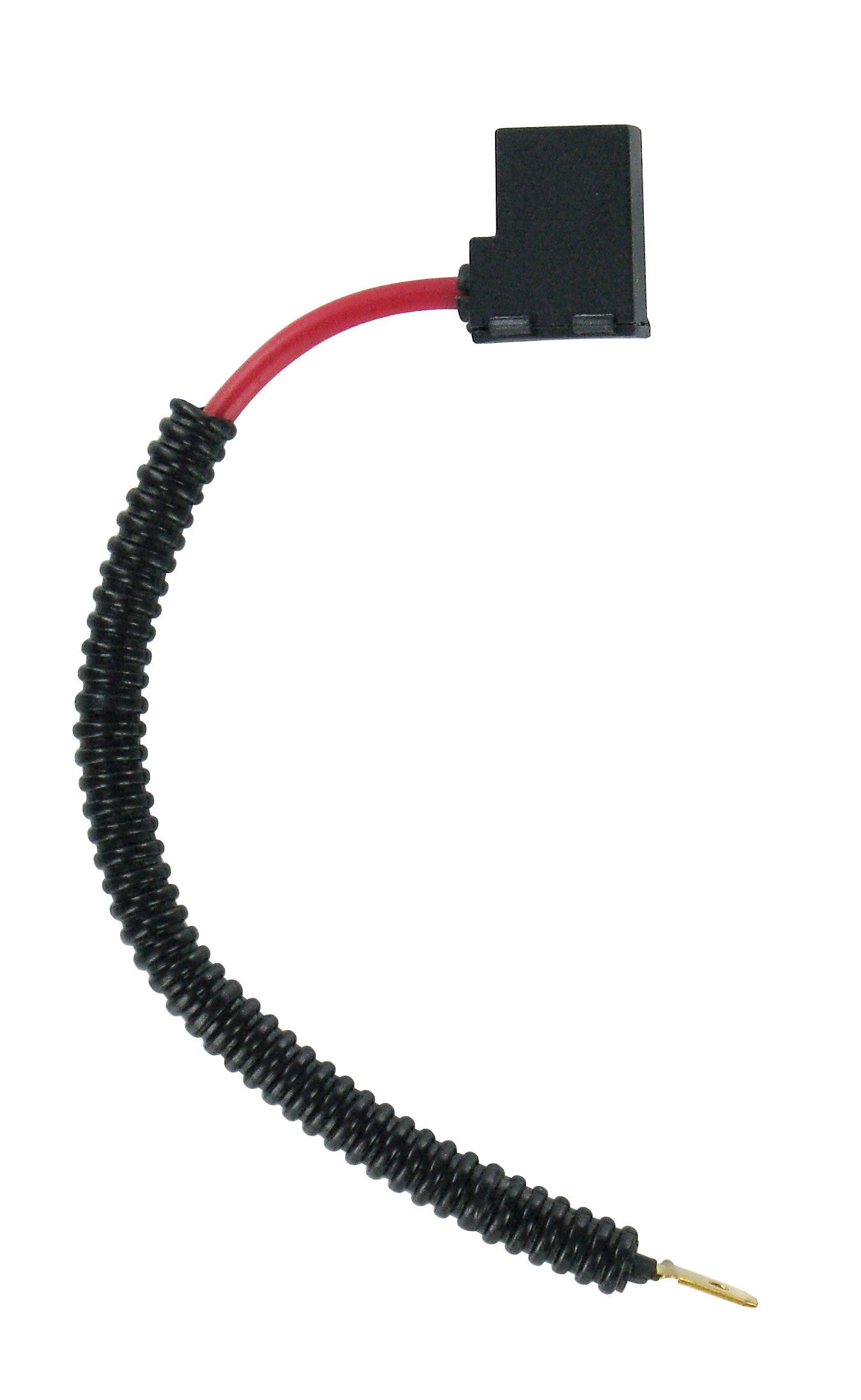 12V Xenium Race Bonus-Pack - (H1) - 100W - P14,5s - 2 pz - Scatola