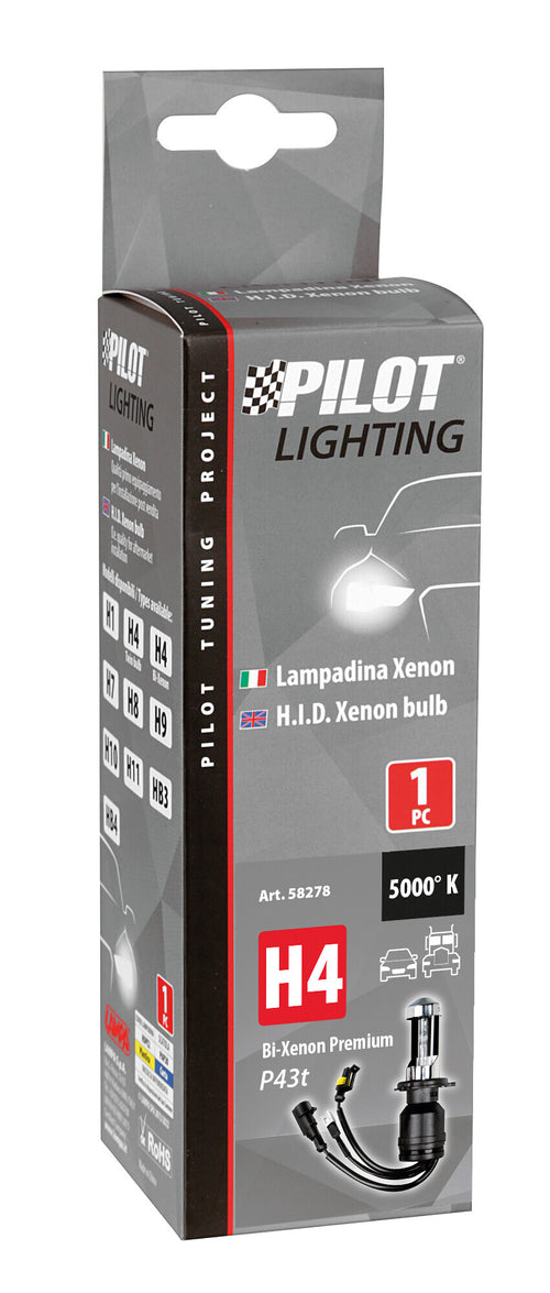 12/24V Lampadina HID Xenon 5.000K - H4 - 1 pz - Scatola