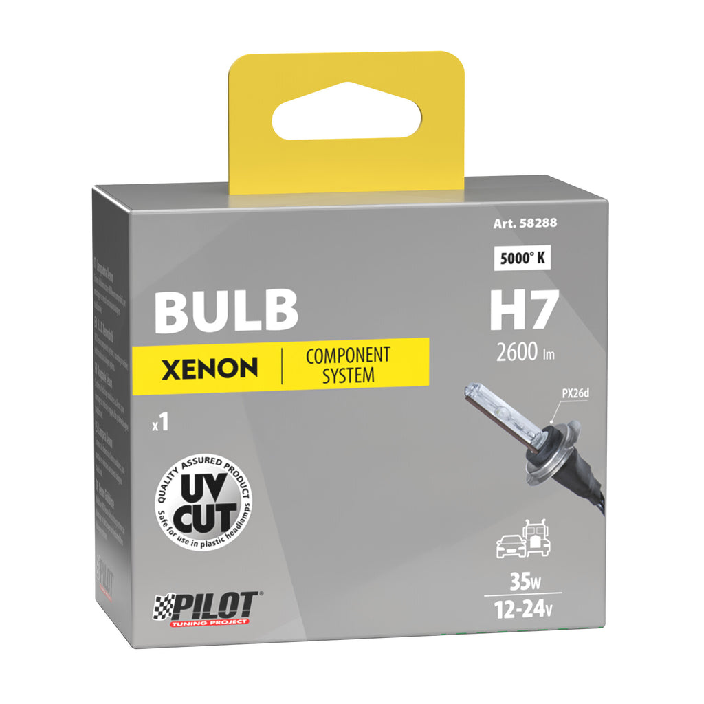 12/24V Lampadina HID Xenon 5.000K - H7 - 1 pz - Scatola