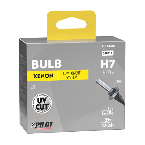 12/24V Lampadina HID Xenon 5.000K - H7 - 1 pz - Scatola