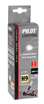 12/24V Lampadina HID Xenon 8.000K - H9 - 1 pz - Scatola