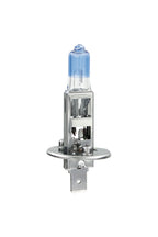 12V Lampada alogena Xenon Blue +50% luce - (H1) - 100W - P14,5s - 2 pz - Scatola