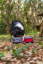 Pet Bowl, doppia ciotola da viaggio per animali - 1100+1400 ml