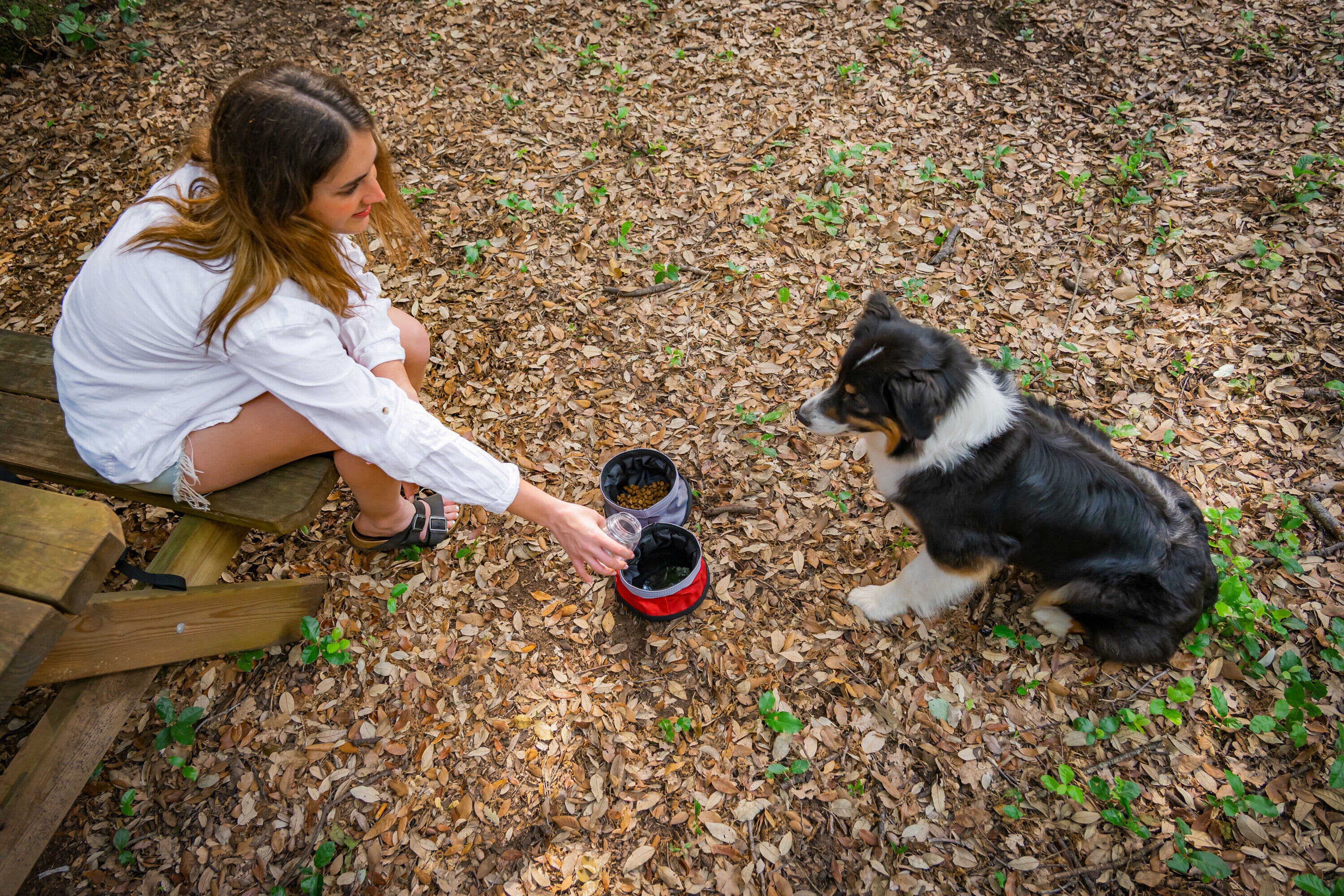 Pet Bowl, doppia ciotola da viaggio per animali - 1100+1400 ml