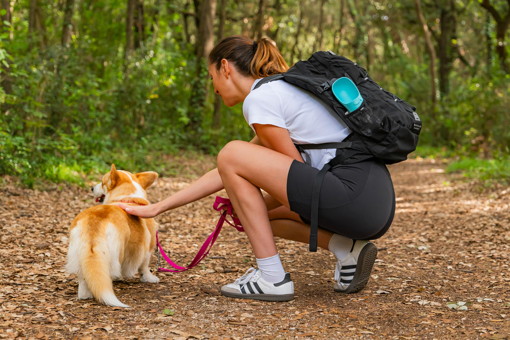 Pet-bottle, abbeveratoio da viaggio per animali - 350 ml