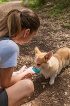 Pet-bottle, abbeveratoio da viaggio per animali - 350 ml