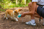 Pet-bottle, abbeveratoio da viaggio per animali - 350 ml