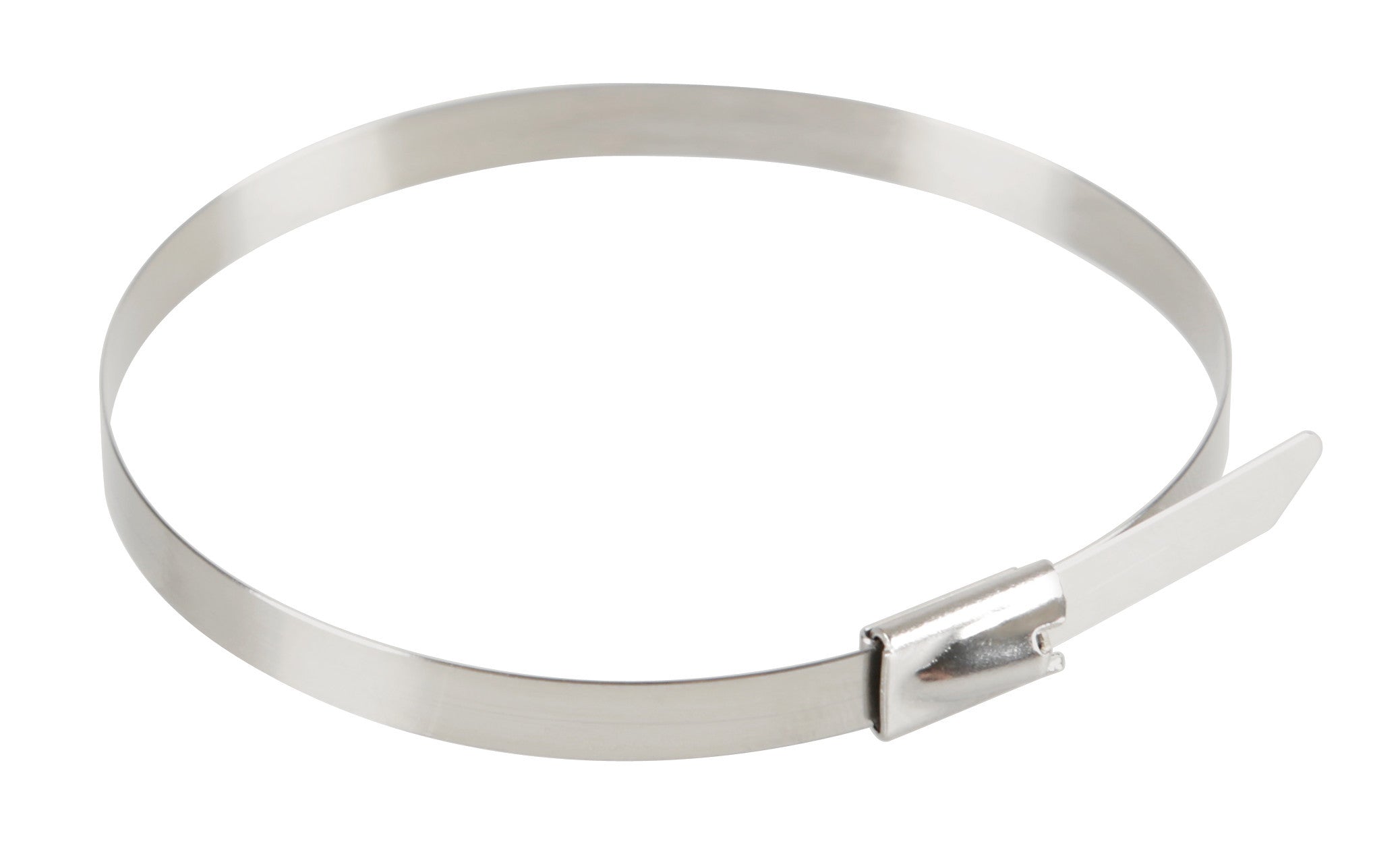 Fascette in acciaio inox, set 20 pz - 4,7x200 mm