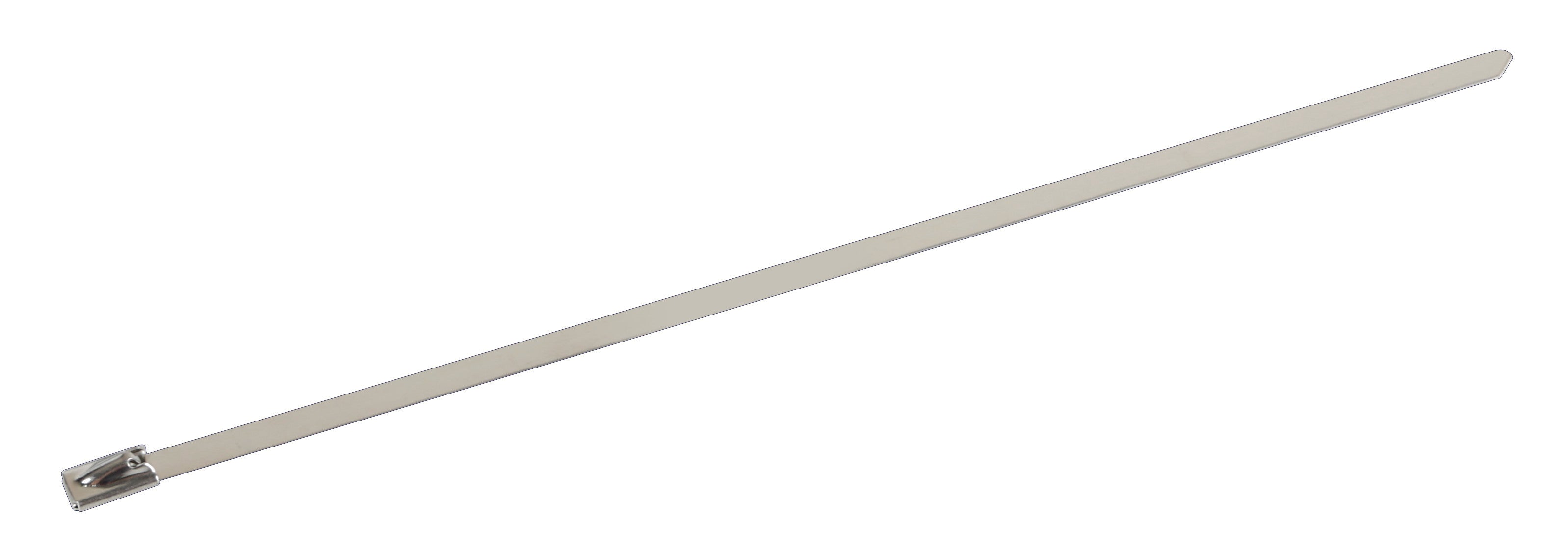 Fascette in acciaio inox, set 20 pz - 4,7x200 mm