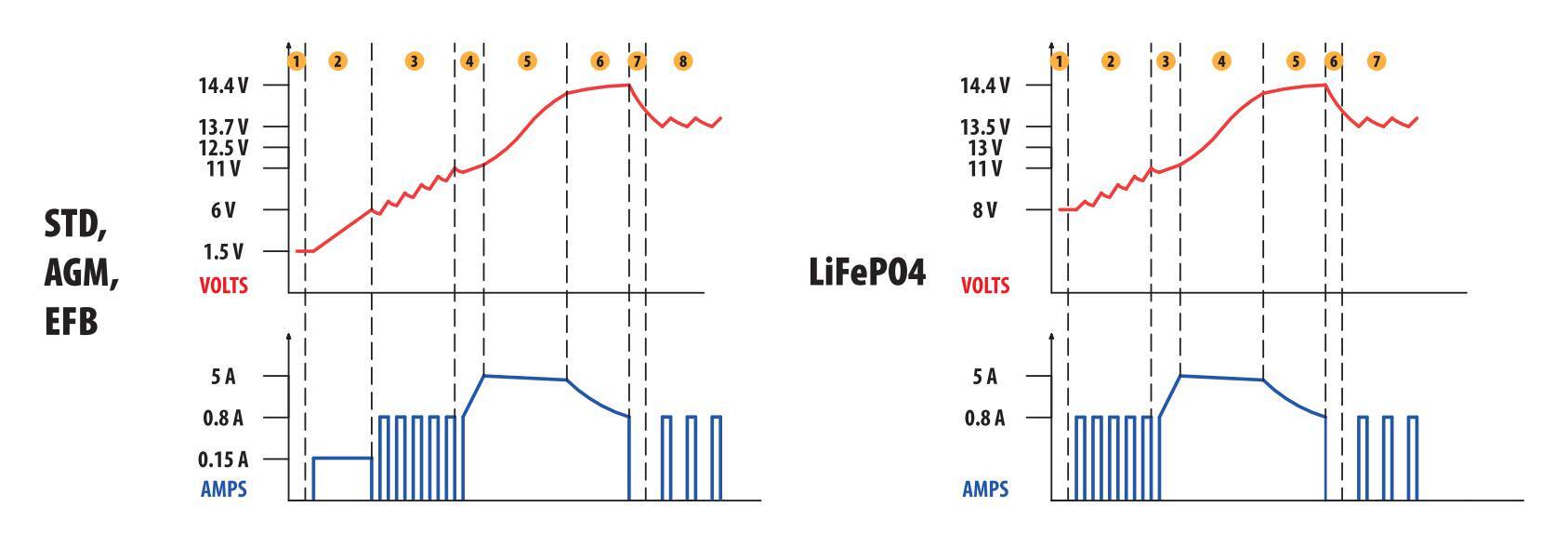 Amperomatic Pro, caricabatteria intelligente, 12V - 5A
