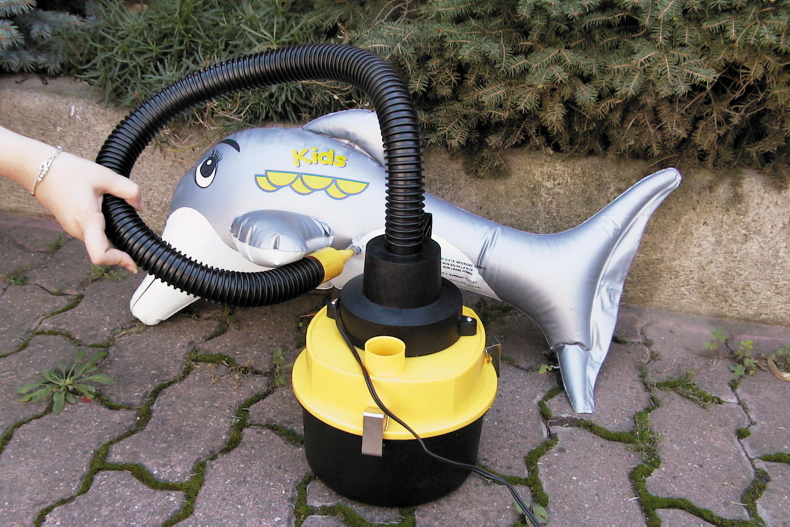 Bidone aspirapolvere - 12V - 160W
