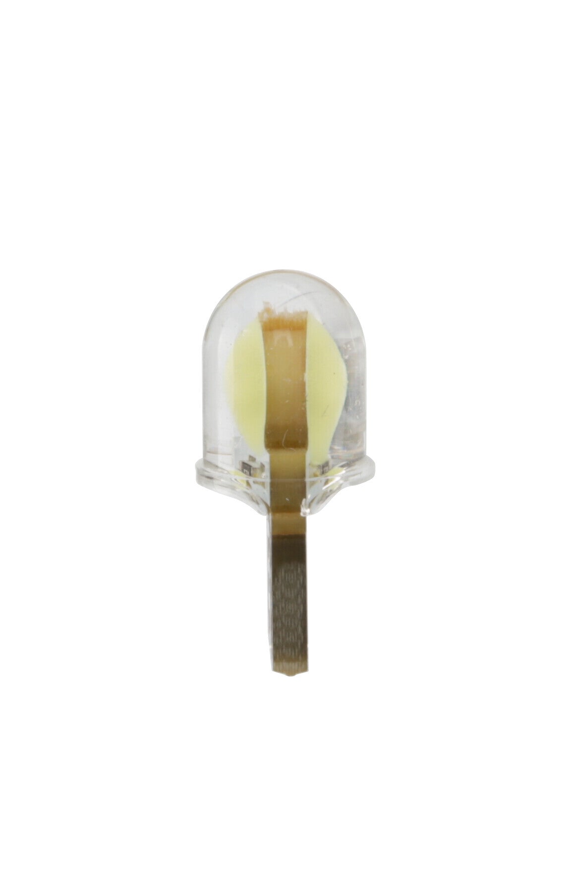 24V Led Series - 2 Led COB - (T10) - W2,1x9,5d - 2 pz - D/Blister - Bianco