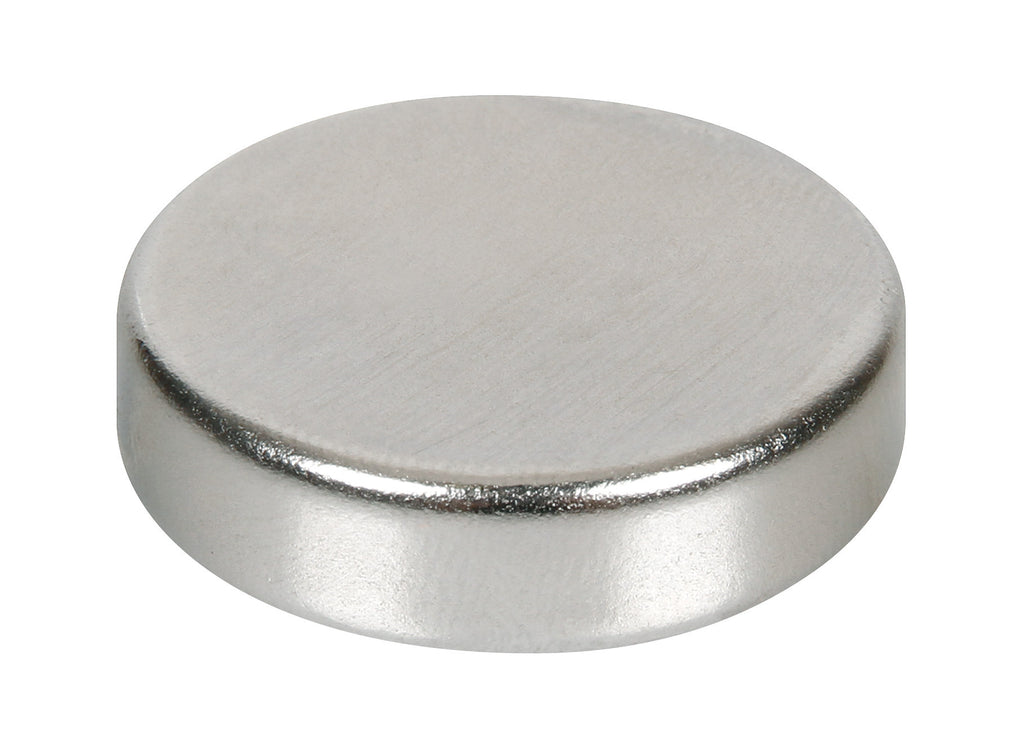 Disco magnetico al neodimio - 121N - 30x7 mm - Sfuso