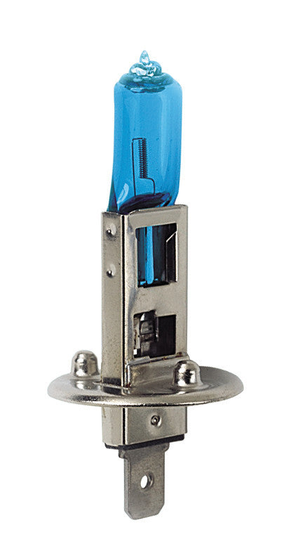 24V Lampada alogena Blu-Xe - (H1) - 100W - P14,5s - 2 pz - Scatola