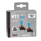 24V Lampada alogena Blu-Xe - H11 - 70W - PGJ19-2 - 2 pz - Scatola