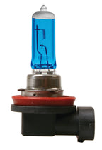 24V Lampada alogena Blu-Xe - H11 - 70W - PGJ19-2 - 2 pz - Scatola
