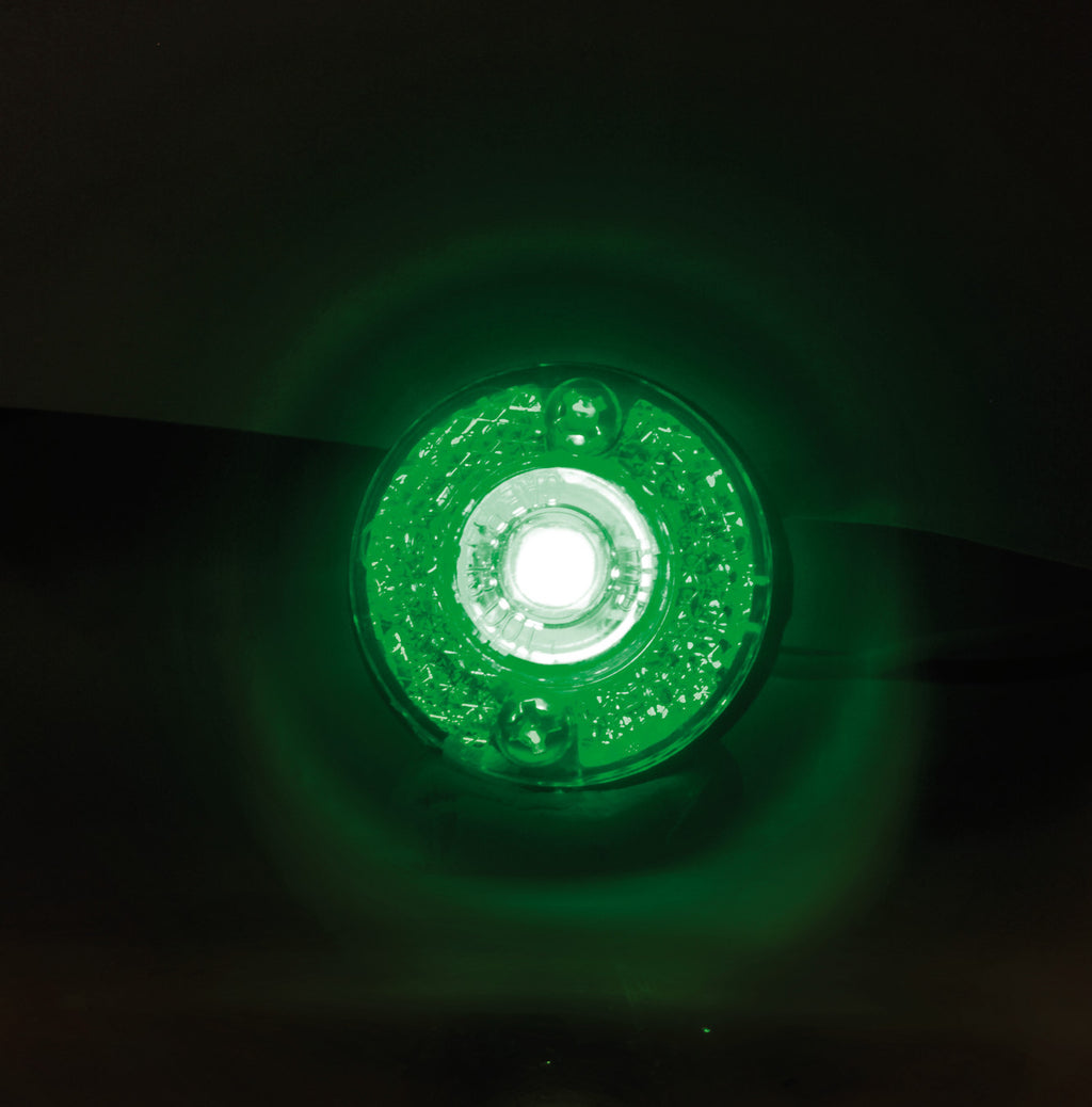Coppia luci decorative - 1 Led - 24V - Verde