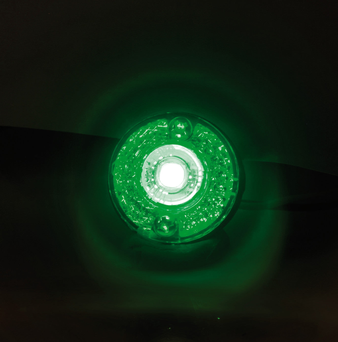 Coppia luci decorative - 1 Led - 24V - Verde