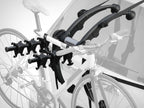 Cyclus 3, portabici posteriore