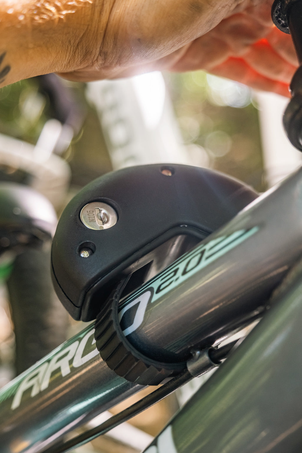 Radius, portabiciclette posteriore - 3 bici