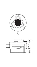 12V Lampada alogena - H11B - 55W - PGJY19-2 - 1 pz - Scatola