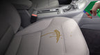 Kit animali in auto, la soluzione contro le macchie, i peli e gli odori - 500+59 ml